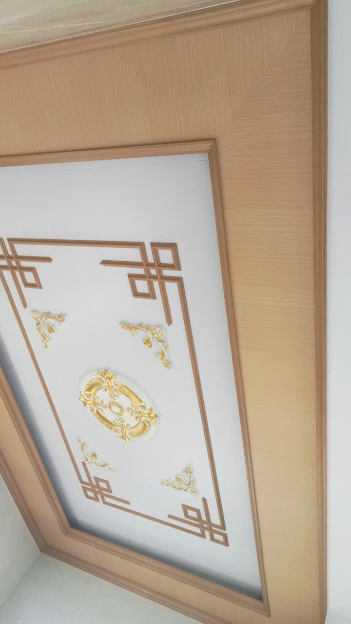 La phong trần Nano Đồng Tháp