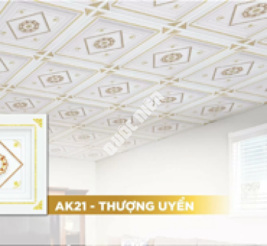 LA PHÔNG - TRẦN THẢ TRANG TRÍ