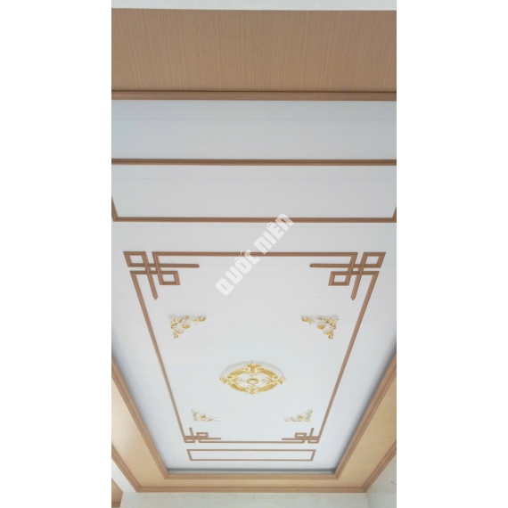 TRẦN NANO GIẬT CẤP 0054